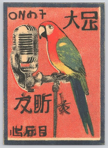 Talokii art postcard parrot - talokii,